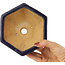 Zeshoekige donkerblauwe bonsaipot van Hattori - 155 x 155 x 68 mm