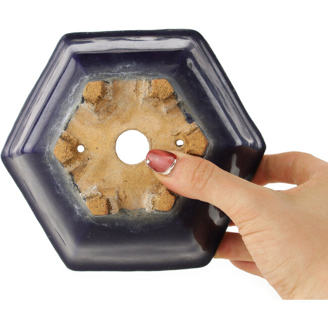 Pot à bonsaï hexagonal bleu foncé de Hattori - 155 x 155 x 68 mm