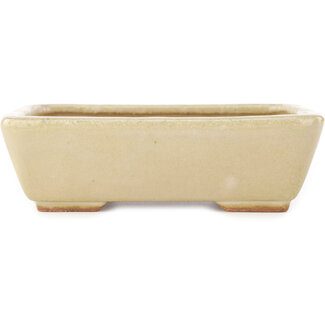  Hattori Tomoyuki Maceta rectangular de color blanco roto para bonsái de 160 mm de Hattori, Tokoname, Japón
