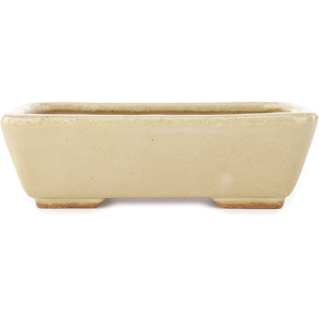 Maceta rectangular para bonsái de color blanco roto de Hattori - 160 x 135 x 50 mm