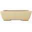 Maceta rectangular para bonsái de color blanco roto de Hattori - 160 x 135 x 50 mm