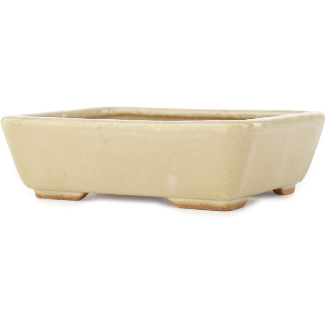 Rectangular off-white bonsai pot by Hattori - 160 x 135 x 50 mm