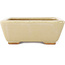 Maceta rectangular para bonsái de color blanco roto de Hattori - 160 x 135 x 50 mm