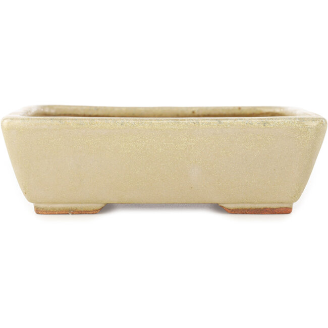 Vaso bonsai rettangolare bianco sporco di Hattori - 160 x 135 x 50 mm