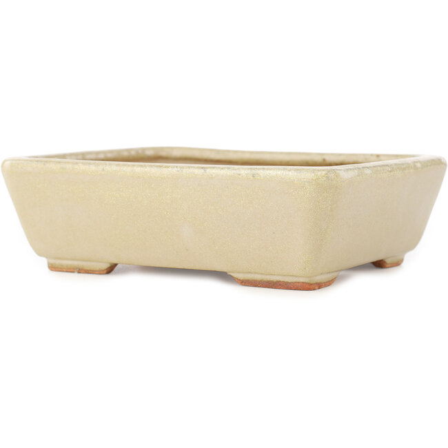 Maceta rectangular para bonsái de color blanco roto de Hattori - 160 x 135 x 50 mm