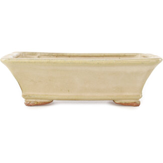  Hattori Tomoyuki Maceta rectangular de color blanco roto para bonsái de 162 mm de Hattori, Tokoname, Japón