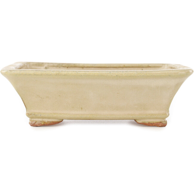 Maceta rectangular para bonsái de color blanco roto de Hattori - 162 x 138 x 50 mm