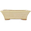 Maceta rectangular para bonsái de color blanco roto de Hattori - 162 x 138 x 50 mm