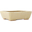 Maceta rectangular para bonsái de color blanco roto de Hattori - 160 x 135 x 50 mm
