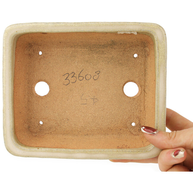 Maceta rectangular para bonsái de color blanco roto de Hattori - 160 x 135 x 50 mm