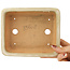 Maceta rectangular para bonsái de color blanco roto de Hattori - 160 x 135 x 50 mm