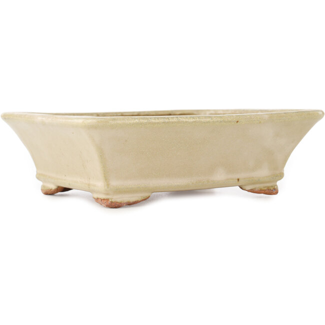 Pot à bonsaï rectangulaire blanc cassé de Hattori - 162 x 138 x 50 mm