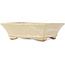 Maceta rectangular para bonsái de color blanco roto de Hattori - 162 x 138 x 50 mm