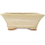 Maceta rectangular para bonsái de color blanco roto de Hattori - 162 x 138 x 50 mm