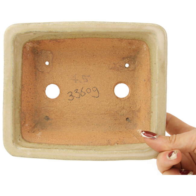 Pot à bonsaï rectangulaire blanc cassé de Hattori - 162 x 138 x 50 mm