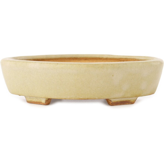 Maceta para bonsái Mokko en color blanco roto de Hattori - 163 x 140 x 40 mm