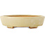 Pot à bonsaï Mokko blanc cassé par Hattori - 163 x 140 x 40 mm