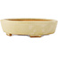 Pot à bonsaï Mokko blanc cassé par Hattori - 163 x 140 x 40 mm