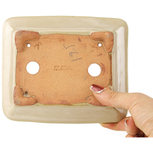 Pot à bonsaï rectangulaire blanc cassé de Hattori - 162 x 138 x 50 mm