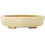Pot à bonsaï Mokko blanc cassé par Hattori - 163 x 140 x 40 mm