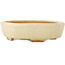 Pot à bonsaï Mokko blanc cassé par Hattori - 163 x 140 x 40 mm