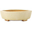 Maceta para bonsái Mokko en color blanco roto de Hattori - 163 x 140 x 40 mm