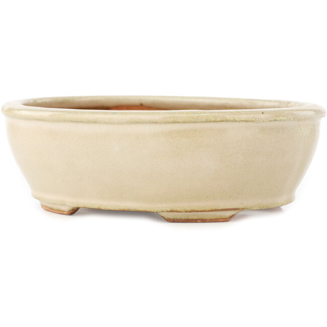 Maceta ovalada para bonsái de color blanco roto de Hattori - 158 x 134 x 50 mm