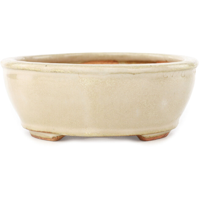 Oval off-white bonsai pot by Hattori - 158 x 134 x 50 mm