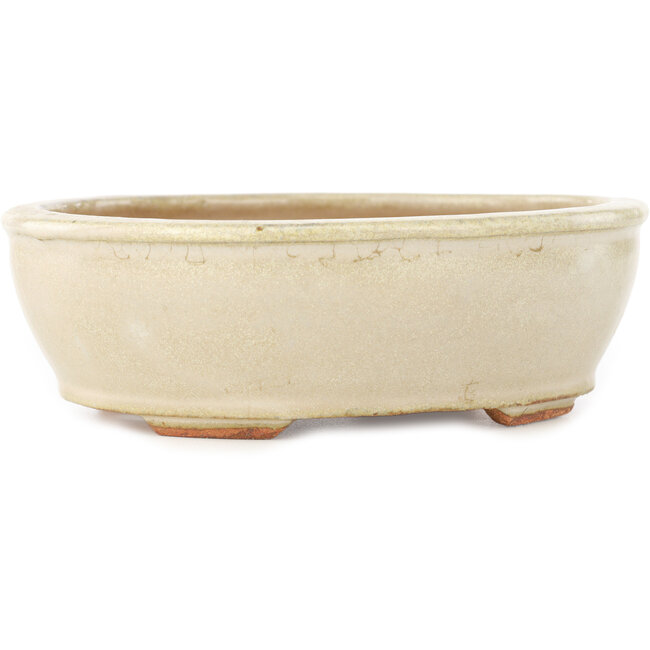 Maceta ovalada para bonsái de color blanco roto de Hattori - 158 x 134 x 50 mm