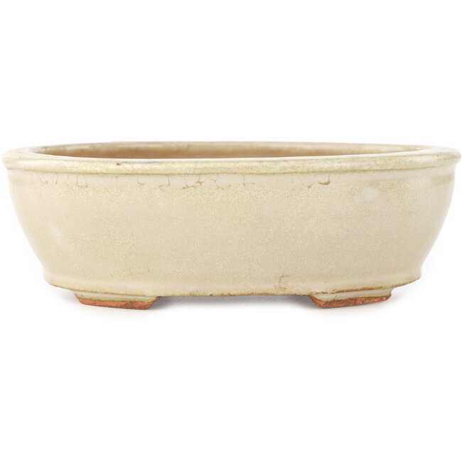 Vaso bonsai ovale bianco sporco di Hattori - 158 x 134 x 50 mm