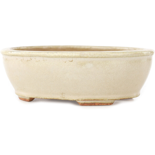 Oval off-white bonsai pot by Hattori - 158 x 134 x 50 mm