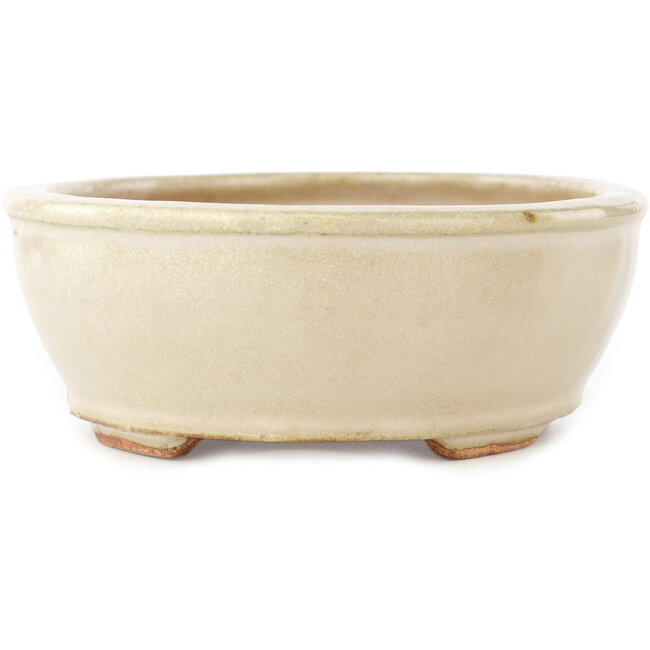 Pot à bonsaï ovale blanc cassé de Hattori - 158 x 134 x 50 mm