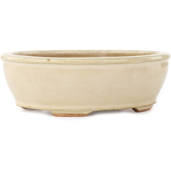 Ovale gebroken witte bonsaipot van Hattori - 158 x 134 x 50 mm