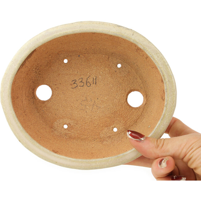 Maceta ovalada para bonsái de color blanco roto de Hattori - 158 x 134 x 50 mm