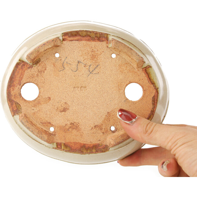 Maceta ovalada para bonsái de color blanco roto de Hattori - 158 x 134 x 50 mm