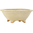 Pot à bonsaï Mokko blanc cassé par Hattori - 135 x 115 x 47 mm