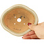 Maceta para bonsái Mokko en color blanco roto de Hattori - 135 x 115 x 47 mm