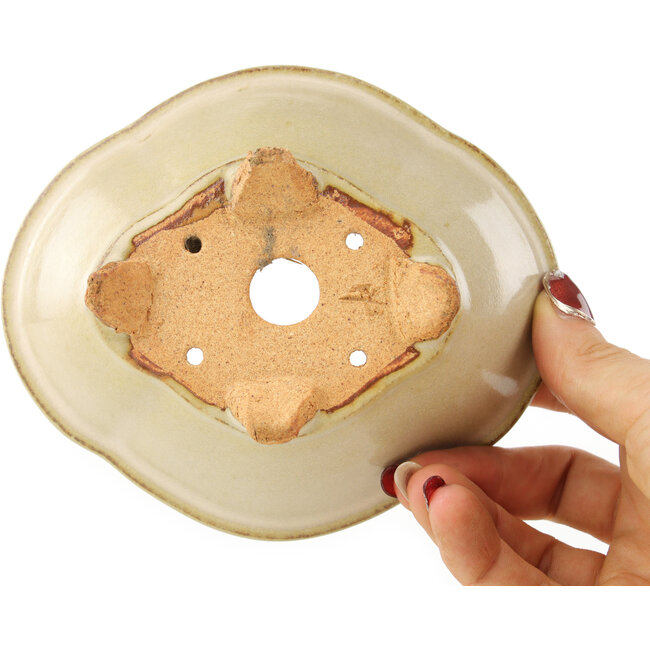 Pot à bonsaï Mokko blanc cassé par Hattori - 135 x 115 x 47 mm