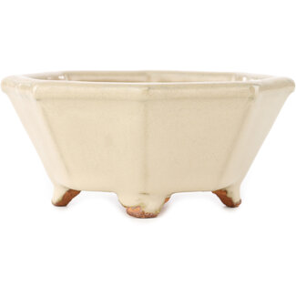  Hattori Tomoyuki Pot à bonsaï octogonal blanc cassé de 125 mm par Hattori, Tokoname, Japon