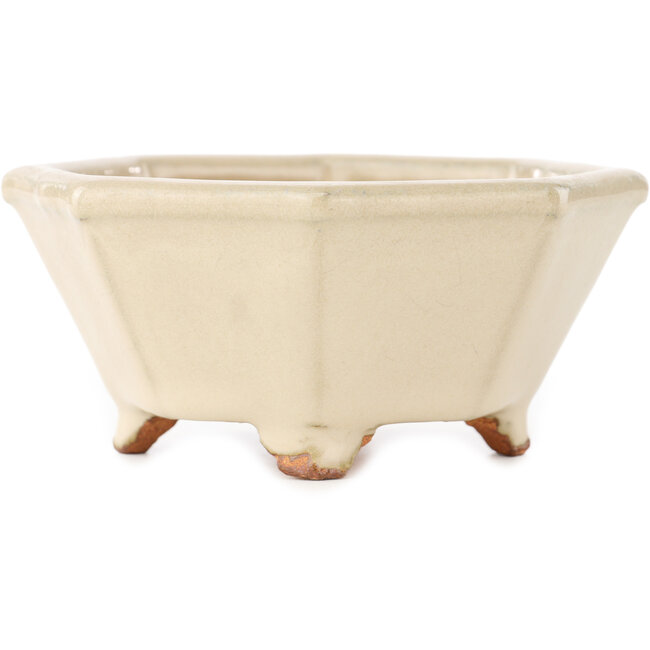 Maceta para bonsái octagonal en color blanco roto de Hattori - 125 x 125 x 55 mm