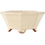 Maceta para bonsái octagonal en color blanco roto de Hattori - 125 x 125 x 55 mm