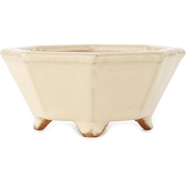 Pot à bonsaï octogonal blanc cassé de Hattori - 125 x 125 x 55 mm