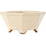 Maceta para bonsái octagonal en color blanco roto de Hattori - 125 x 125 x 55 mm