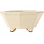 Maceta para bonsái octagonal en color blanco roto de Hattori - 125 x 125 x 55 mm