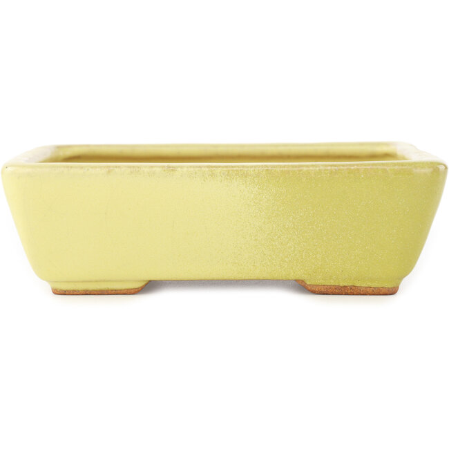 Rectangular yellow bonsai pot by Hattori - 162 x 135 x 49 mm