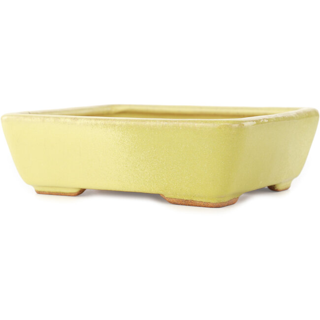 Vaso bonsai rettangolare giallo di Hattori - 162 x 135 x 49 mm