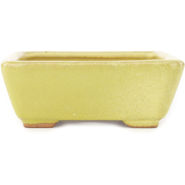 Pot à bonsaï rectangulaire jaune de Hattori - 162 x 135 x 49 mm