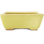 Rectangular yellow bonsai pot by Hattori - 162 x 135 x 49 mm