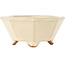 Maceta para bonsái octagonal en color blanco roto de Hattori - 125 x 125 x 55 mm