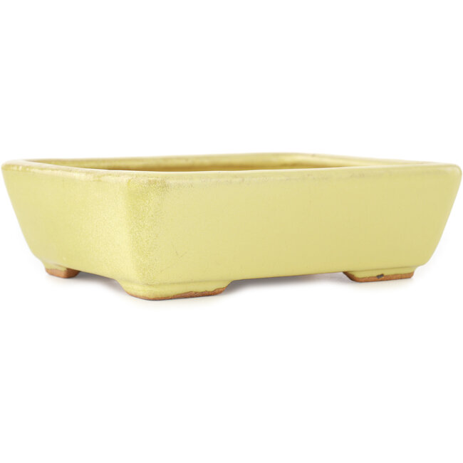 Vaso bonsai rettangolare giallo di Hattori - 162 x 135 x 49 mm